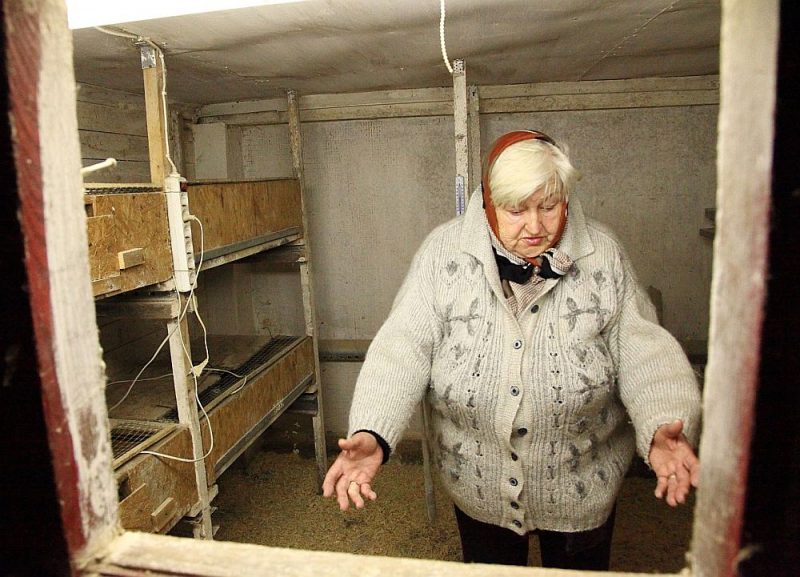 “Ir sertificēta kautuve, gaļas sadales cehs, te varētu arī ar lauku tūrismu nodarboties. Tas var noderēt jauniem cilvēkiem, kam bieži vien pietrūkst starta kapitāla,” stāsta saimniece Mērija Vilūna.