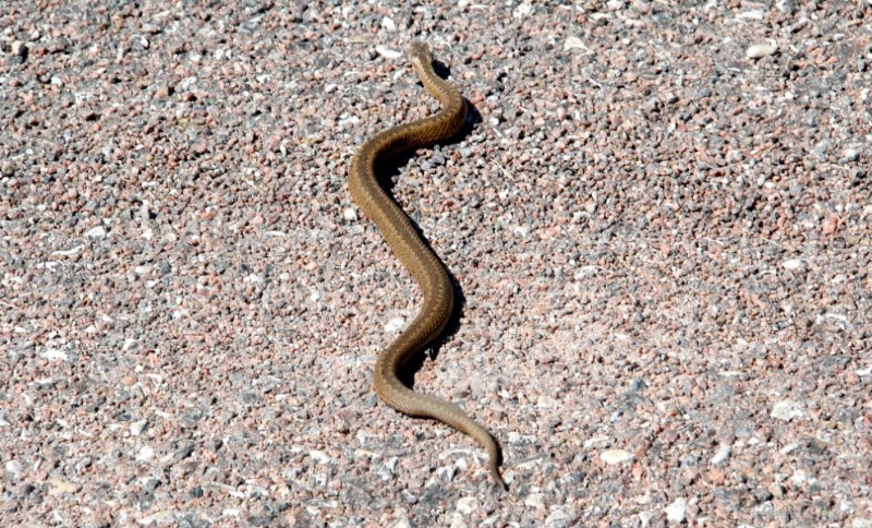 Ilustratīvs foto.