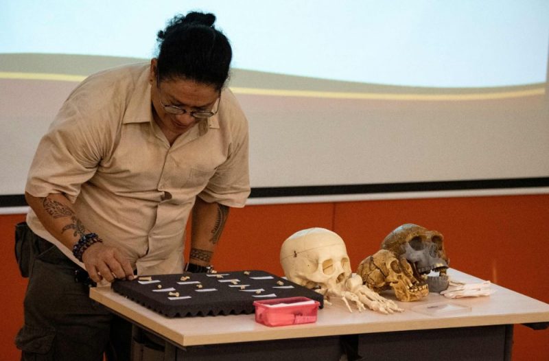 Jaunatklātajai sugai dots nosaukums "Homo luzonensis" par godu salai, kurā atrasti šīs sugas pārstāvju zobi un kauli.
