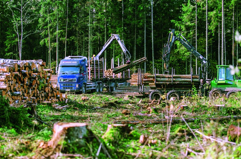 Latvijas Valsts Mezi No Sa Gada Pelnas Ziedojumiem Novirzis 5 5