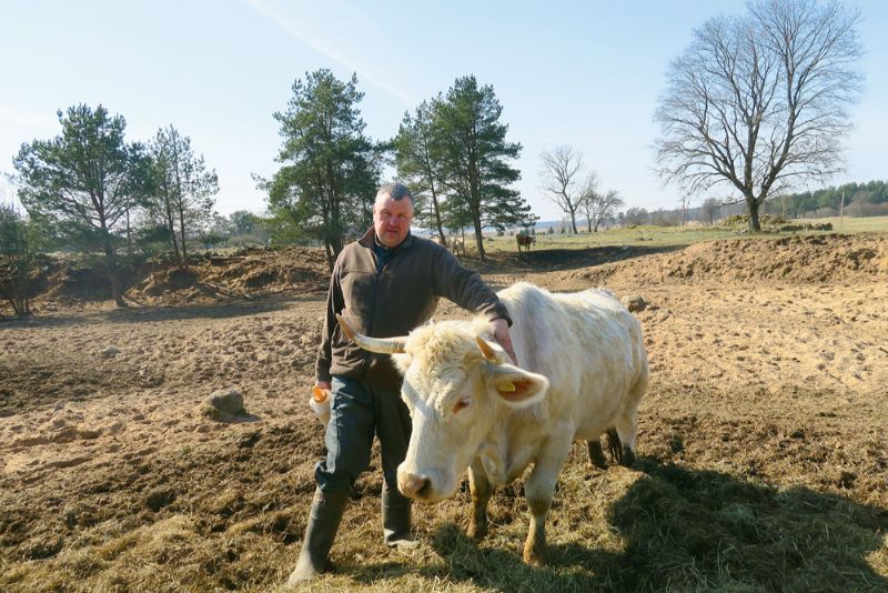 “Dreijmaču” saimnieks Raivis Mačtams ar visvecāko zīdītājgovi, kurai ganāmpulkā piešķirts pirmais numurs.