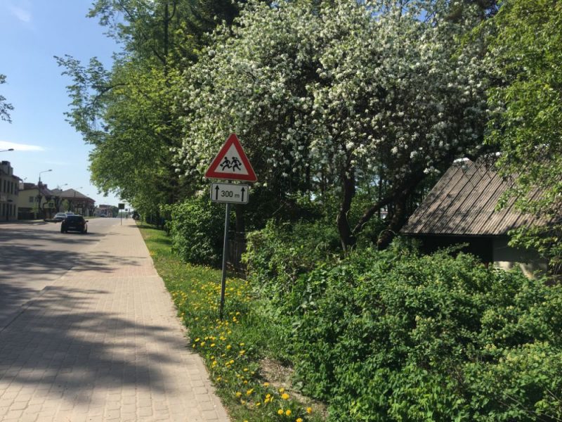 Aiz šā dzīvžoga Gulbenē, O. Kalpaka ielā, 17. maija priekšpusdienā hokeja fani kopā dzēra un diskutēja, kamēr pārkarsa prāti un notika asiņainais kautiņš.