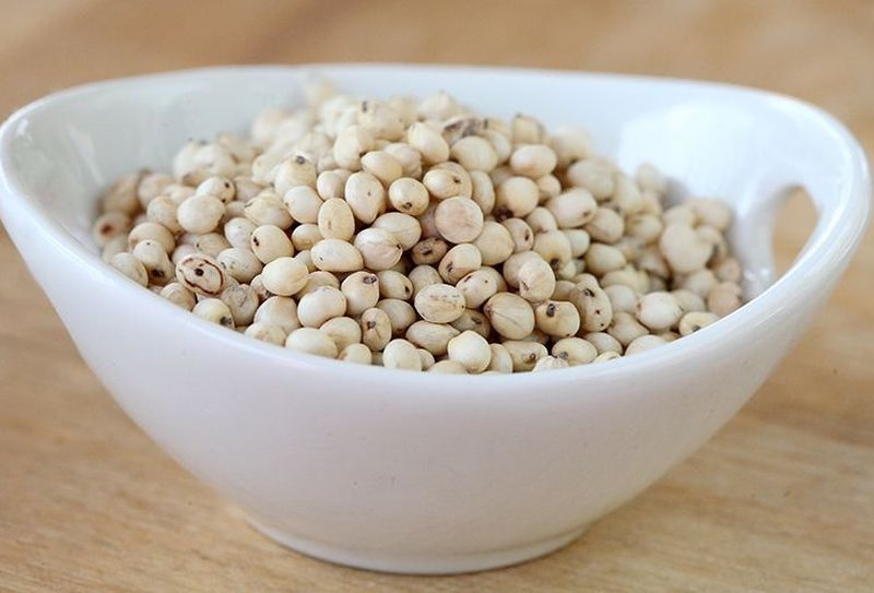 Baltais sorgo