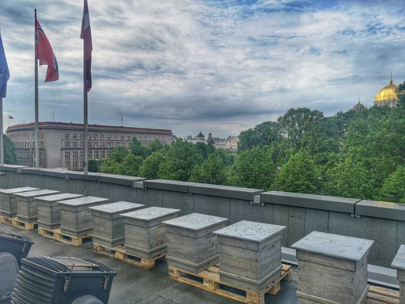 Stropi uz “Radisson Blu” viesnīcas jumta.