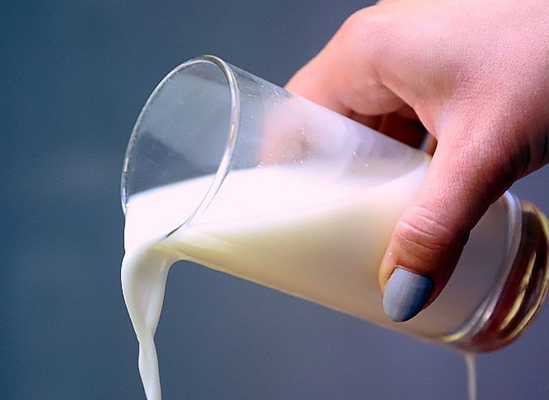 Jelgavā iecerēts būvēt vegānā piena rūpnīcu par 40 miljoniem eiro. Paredzamais darbinieku skaits ir 60 līdz 65 cilvēki, kas strādāšot divās maiņās.