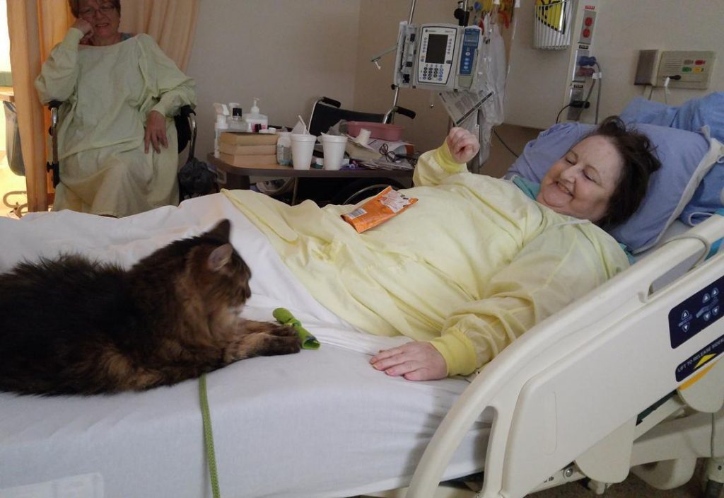 Sadarbībā ar slimnīcas personālu un brīvprātīgajiem Dženkinsa izveidoja programmu “Zachary’s Paws for Healing”, kas visiem slimnīcas pacientiem sniedz iespēju regulāri tikties ar saviem mājas mīluļiem.