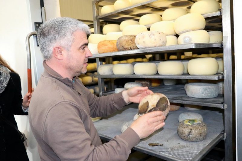 Toskānas siera ražotnē