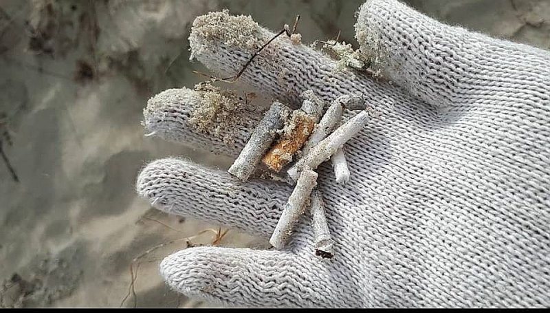 Pludmales pie Gaujas ietekas jūrā un pie Papes bākas Rucavas novadā izceļas ar īpaši lielo izsmēķu daudzumu. Te smiltīs Vides izglītības fonda aktīvisti savākuši uz 10 metriem gandrīz simt izsmēķu.