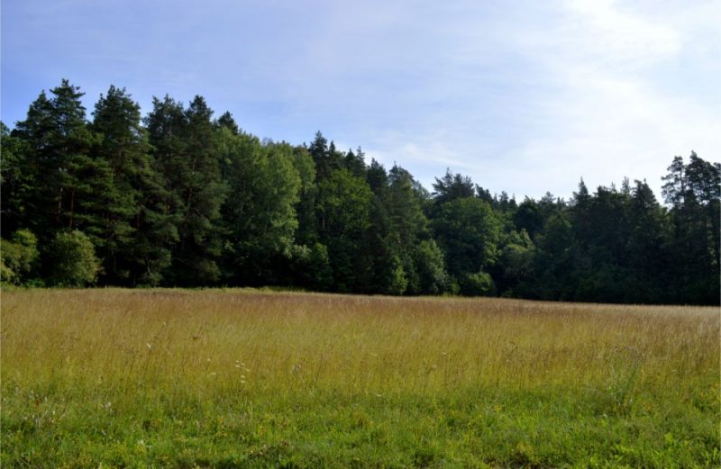 Ilustratīvs foto.
