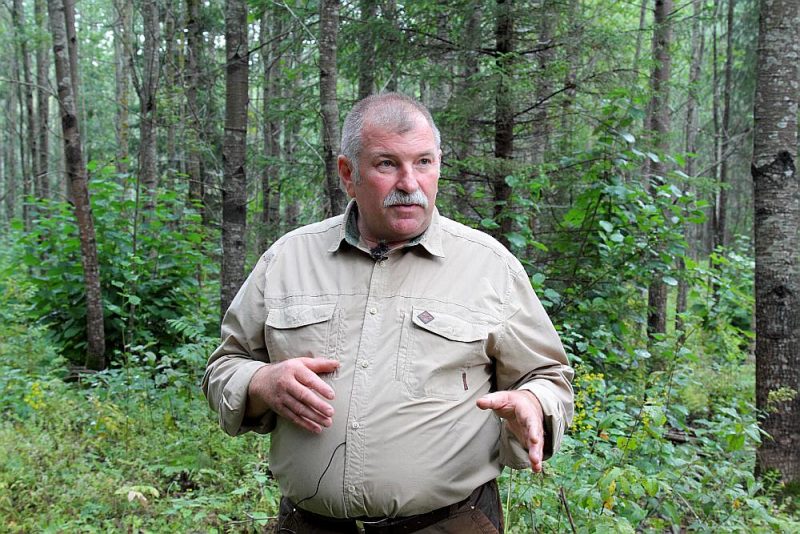 Armands Cirsis: “Jaunaudžu kopšanu nevar veikt kurš katrs pajolītis – sak, paskries ar zāģi pa mežu un kārtībā. Ja tā lieta nav skaidra, tad labāk paaicināt kādu, kurš to prot.”