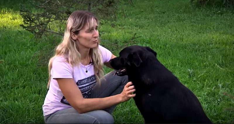 Pa logu izmestais kucēns tagad izaudzis liels un nosaukts par Lidotāju, kā arī atradis labu saimnieci – Oksanu.