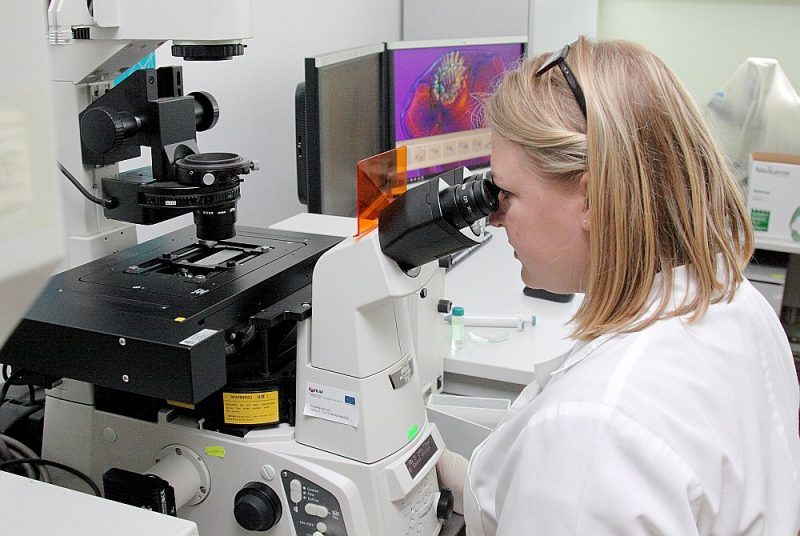 Pārbaudes E.Coli baktēriju atklāšanai notiek Pārtikas drošības, dzīvnieku veselības un vides zinātniskā institūta “BIOR” Patoloģijas un mikrobioloģijas laboratorijā.