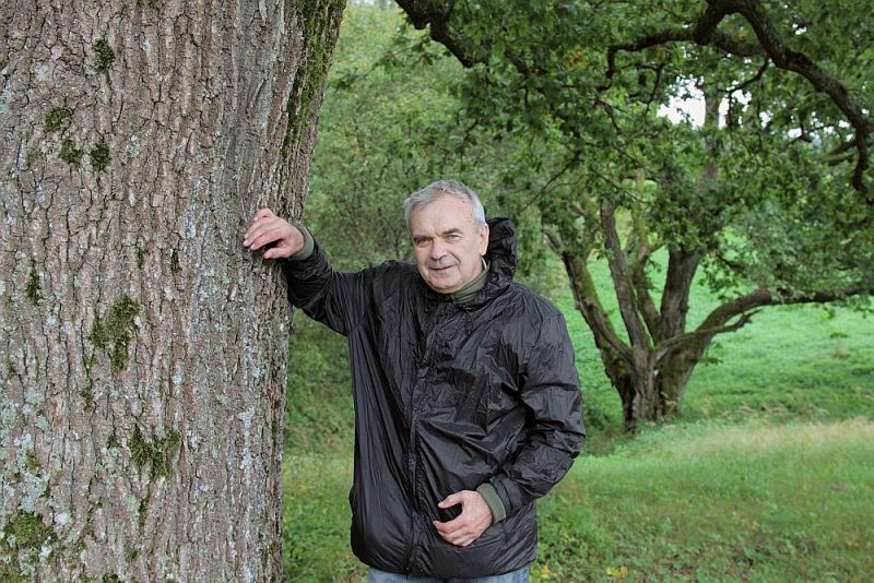 Andis Krēsliņš