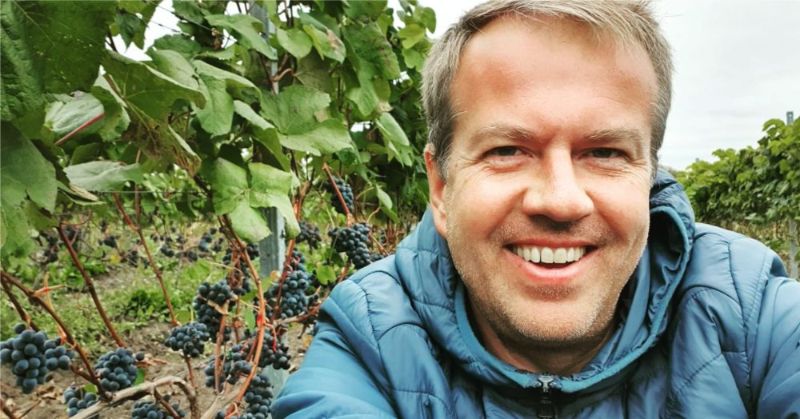“Abavas vīna darītava” sākusi vākt ražu