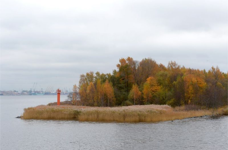 Mazā bāka Daugavgrīvā.