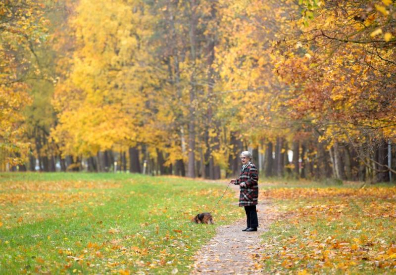 Rudens