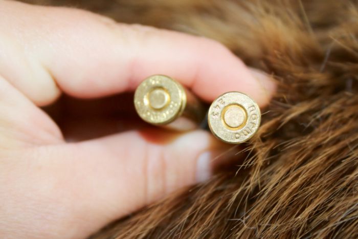 .243 Winchester un 6x52mm ir viena un tā paša kalibra apzīmējums divās dažādās sistēmās. ‘Norma’ apzīmē konkrētās patronas ražotāju.