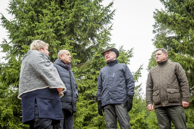 Izvēlētas Rīgas galvenās egles 2019. gada 21. novembrī
