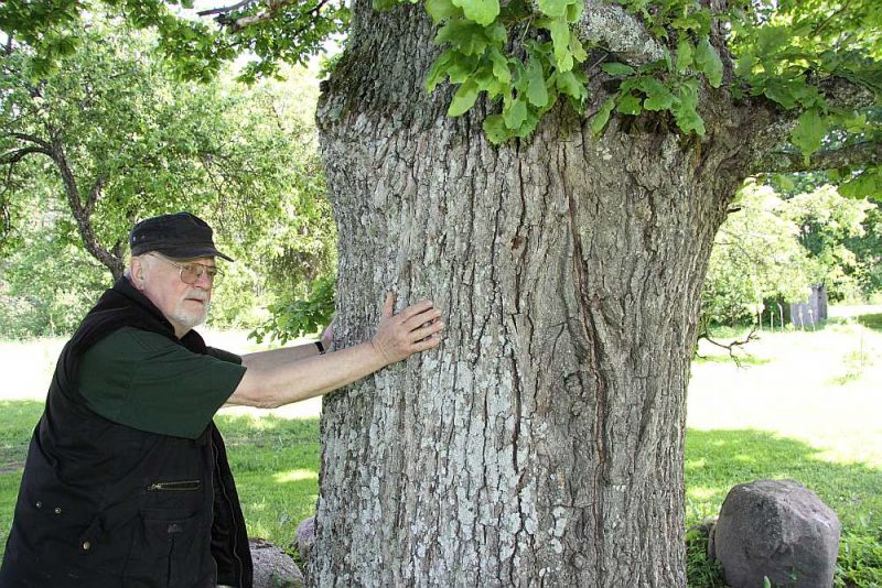 Valodnieks, folklorists, pedagogs un sabiedriskais darbinieks Austris Grasis mūžu veltījis latviešu valodas kopšanai un vēsturisko sakņu izpētei, kā arī latviskās identitātes stiprināšanai.