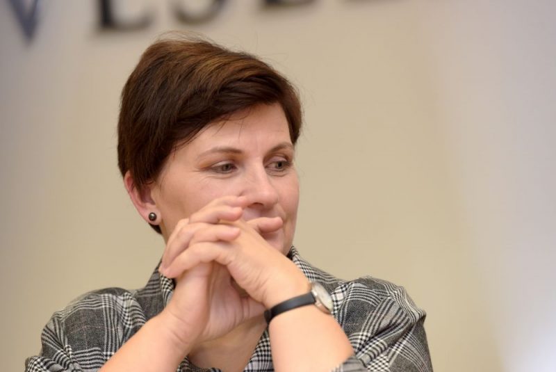 Ilze Viņķele.