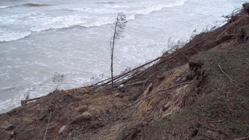 Lielo vēju un lietus rezultātā atkal jūra ir “nograuzusi” daļu no skaistā stāvkrasta Labragā pretim Zivju krogam, 30.12.2019.