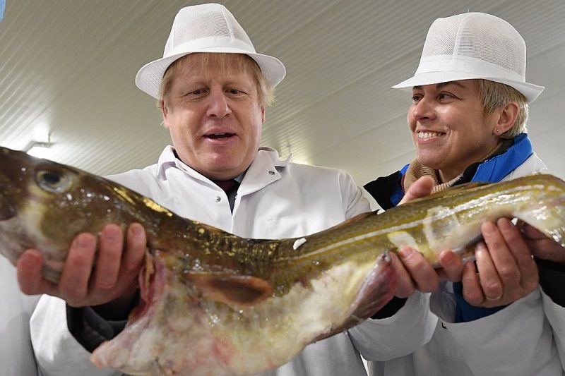 Premjerministrs Boriss Džonsons kampaņas gaitā vakar simboliski “noķēra” lielu zivi Grimsbijas zivju tirgū, cerot uz vēlētāju balsu ķērienu arī vēlēšanās.