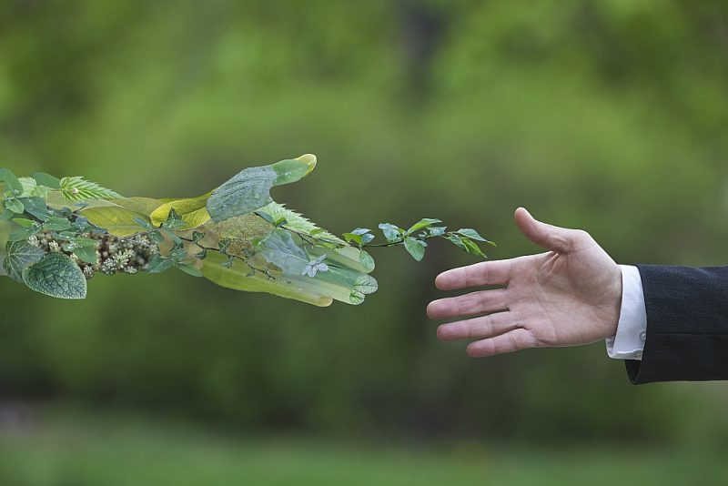 Jau šobrīd nospraustie klimata mērķi prasīs 260 miljardus eiro papildus investīciju gadā, bet jaunie, vēl ambiciozākie mērķi, ko paredz “Green deal” – ES zaļā vienošanās, kas tiek tulkota kā “Zaļais kurss”, maksās vēl dārgāk.