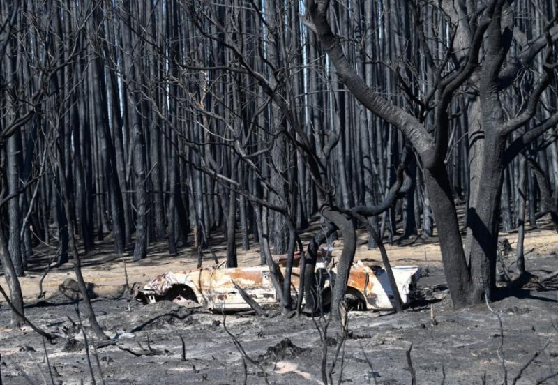 Savvaļas ugunsgrēki Austrālijā 2010. gada janvāra sākuma