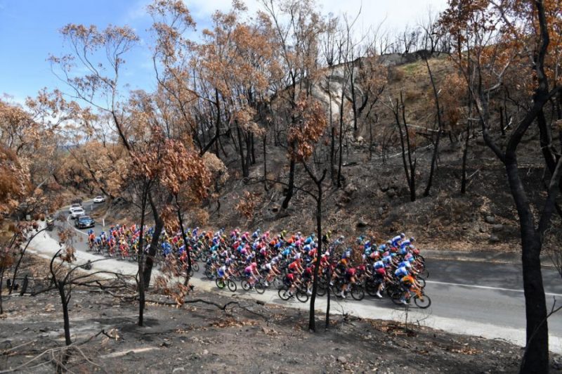 “Tour Down Under” posms Adelaides apkārtnē. Šosejas riteņbraukšanas daudzdienu sacensības Austrālijā notiek no 21. līdz 26. janvārim.