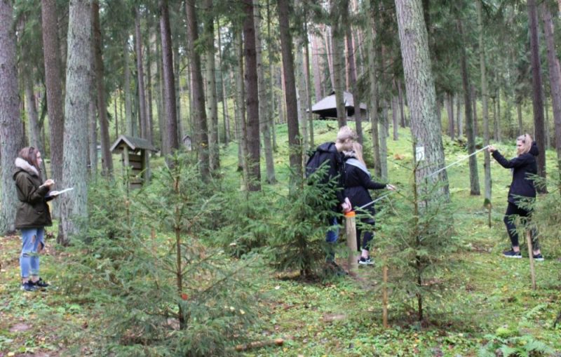 Latvijas Valsts Mezi Atskatas Uz 2019 Gadu Dabas Parka Tervete