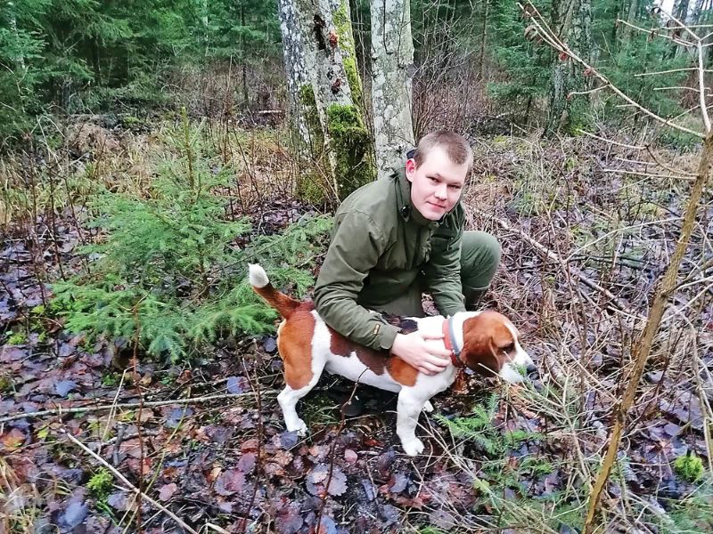 Oskars kopā ar medību partneri bīglu Mērfiju.