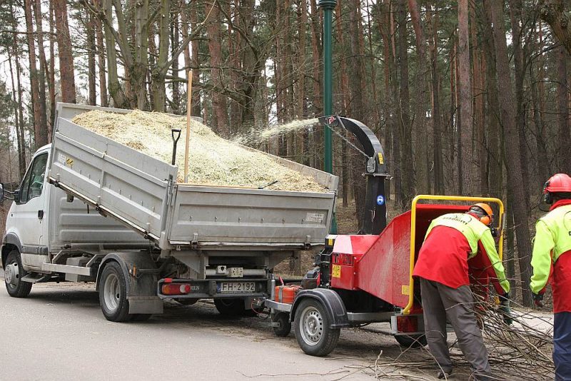 Kaut arī sala nav, šobrīd nekas neliecina par problēmām ar šķeldas piegādēm katlumājām.
