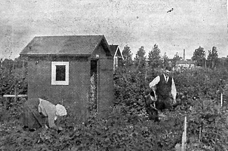 Rīgas mazdārziņā 20. gs. 20. gados.