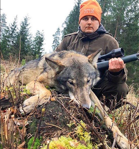 Artis Lamba ar decembrī nomedīto vilceni.