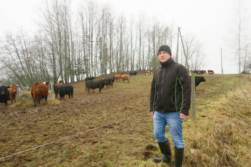 Dmitrijs Volkovs: Nereti izveidojies nepareizs priekšstats, ka darboties gaļas lopkopībā būs daudz vieglāk nekā piena lopkopībā. Tā nav!