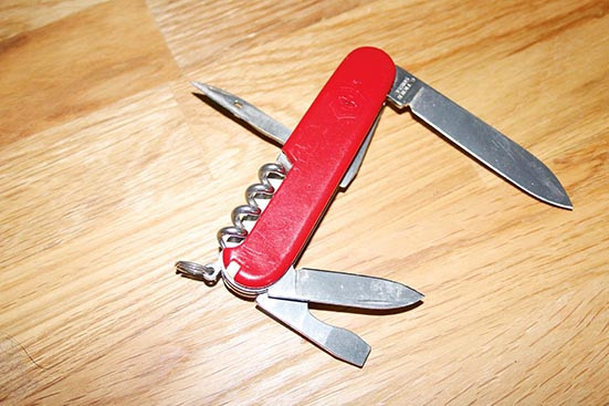 Nelilais ‘Victorinox’ nazītis.