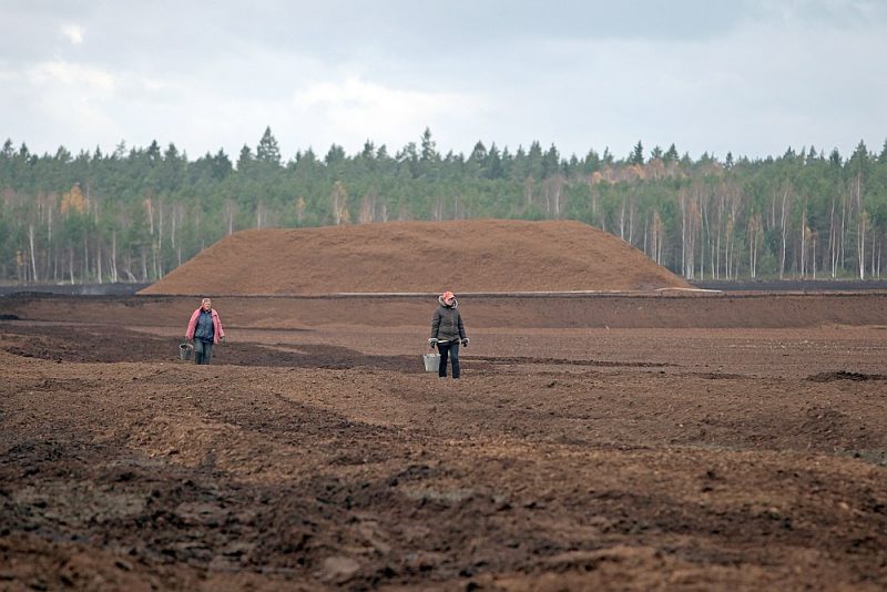 Kūdras nozares likvidēšanai varētu būt neprognozējamas sociālekonomiskas sekas, kas nekādā veidā neuzlabotu siltumnīcefekta gāzu emisiju kopējo bilanci, uzskata šī tirgus dalībnieki.
