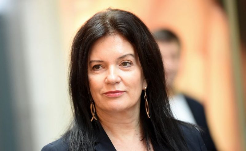 Labklājības ministre un Saeimas deputāte Ramona Petraviča uzskata, ka jautājumā par iecerētajiem sociālo dienestu jaunajiem uzdevumiem esot sacelta vētra ūdensglāzē. Diskusijas vēl turpināšoties.