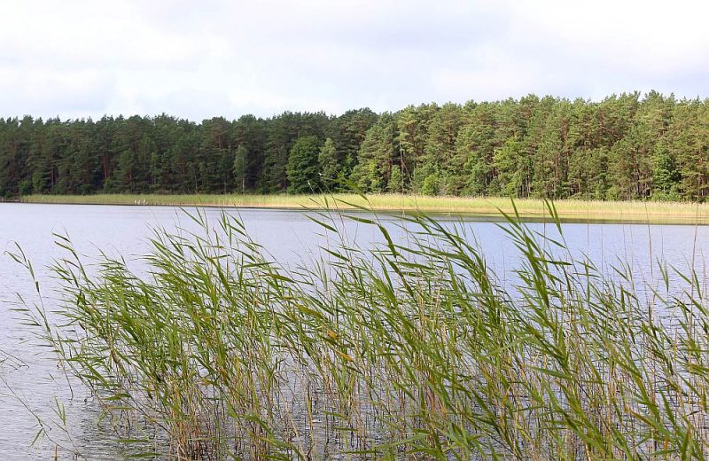 Latvijas projekts skar ūdens kvalitātes uzlabošanas pasākumus.
