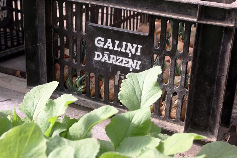 Pašlaik “Galiņu” darbs ir paralizēts un saimniecība nevarēs turpināt saimniecisko darbību.