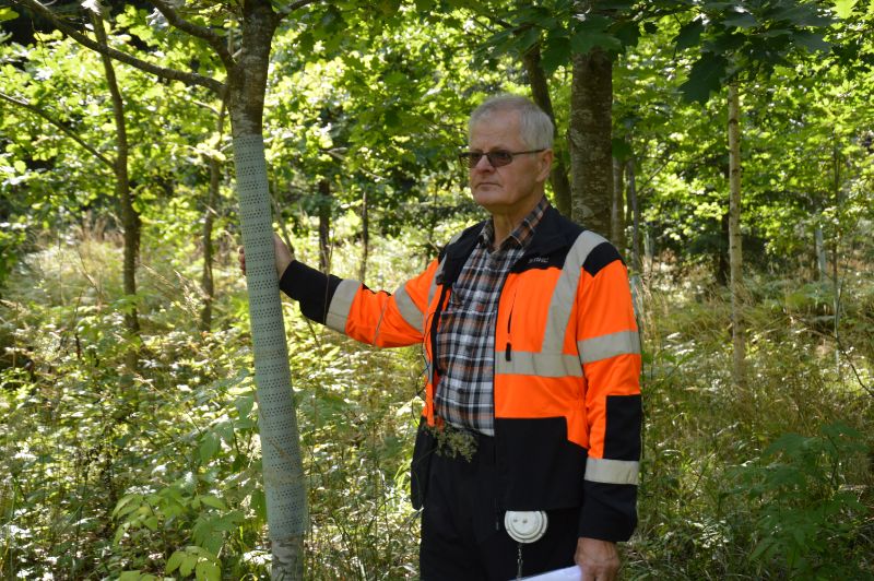 Aivars Vanags: Apsaimniekojot mežu, jāizmanto citu cilvēku pieredze – kāda, kas jau kaut ko mežā ir izdarījis. Un, protams, arī zinātnieku pētījumus.”