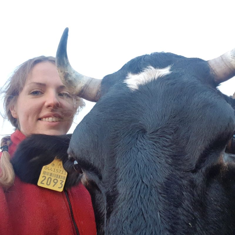 „Šis ir mans selfijs, kas iesūtīts foto konkursam Facebook vidē ar tēmturi #jzkpalieclaukos un #distancejosDAROT . Konkursa mērķis ir parādīt, ka dzīvot laukos ir forši un šajā situācijā – arī droši. Jauno zemnieku klubs savu darbību nepārtrauc, un spītējot tam, ka nedrīkstam rīkot pasākumus un seminārus klātienē, to darām interneta vidē. Konkursā var piedalīties ikviens, bet labākos apbalvosim maija sākumā,” saka kluba valdes priekšsēdētāja Sandra Eimane.