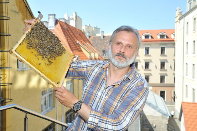 Uz Rīgas rātsnama 3. stāva āra terases izvieto trīs bišu stropus.