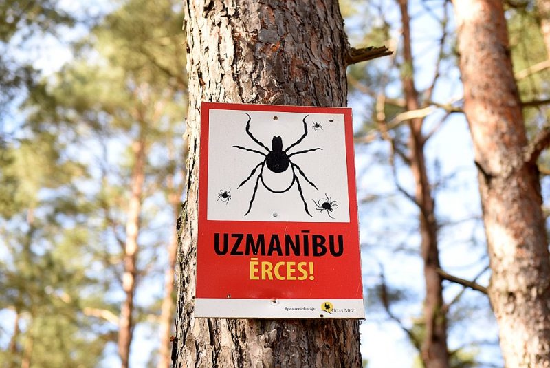 Brīdinājuma uzraksts dabas parkā Mangaļsalā. Ap 6–10% ērču Latvijā ir inficētas ar encefalīta vīrusu.