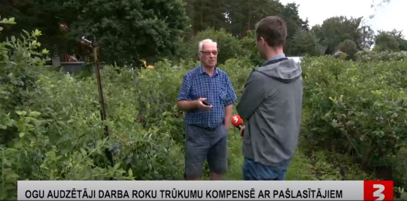 Zemnieku saimniecības “Strēlnieki” saimnieks Jānis Bierands izrāda saimniecību un pastāsta, kā kompensē darbinieku trūkumu. Lai ogas neietu postā, viņš sauc talkā ogu pāslasītājus.