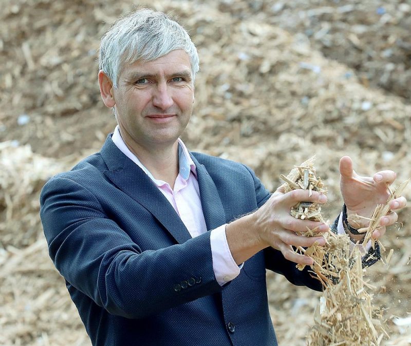 Jānis Lapsa, SIA “Zaļā josta” valdes priekšsēdētājs
