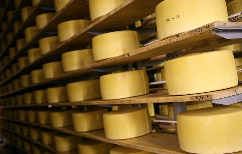 Piena pārstrādes uzņēmums “Limbažu siers” atzīst, ka krīzes iespaidā radusies situācija, kurā piens tiek iepirkts, taču ar tālāko produkcijas pārdošanu radušās grūtības. Tādēļ “Altum” eksporta garantijas un apgrozāmo līdzekļu aizdevums nācis tieši laikā.