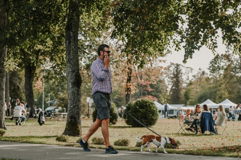 Siguldā atklāta Zelta rudens lapu sezona.