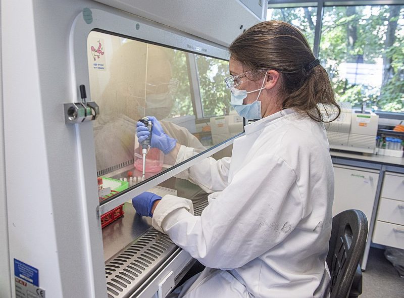 Koronavīrusa vakcīnas izstrāde Oksfordas universitātes laboratorijā.