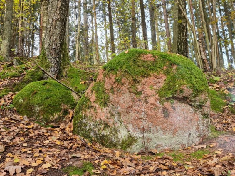 Akmeņi Dziedniekkalnā